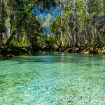 Three-Sisters-Springs-Crystal-River-Florida-4 Crystal River und Rainbow River & Springs [Florida]