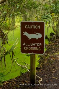 Alligator-Crossing-Sign-Fort-Clinch-State-Park-Amelia-Island-Florida-200x300 Alligator Crossing Sign