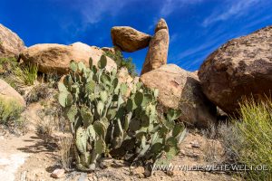 Balancing-Rock-Grapevine-Hills-Big-Bend-National-Park-Texas-2-300x200 Balancing Rock