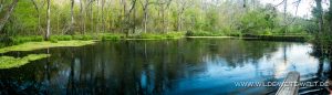Blue-Hole-Spring-Ichetucknee-Springs-State-Park-Florida-3-300x86 Blue Hole Spring