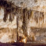 Caverns-of-Sonora-Caverns-of-Sonora-Texas-38 Caverns of Sonora [Texas]
