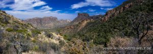 Chisos-Basin-from-Laguna-Meadows-Trail-Chisos-Mountains-Big-Bend-National-Park-Texas-300x107 Chisos Basin from Laguna Meadows Trail