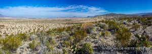 Desert-View-Old-Ore-Road-Big-Bend-National-Park-Texas-2-300x107 Desert View