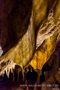 Florida-Caverns-Florida-Caverns-State-Park-Marianna-Florida-10-200x300 Florida Caverns