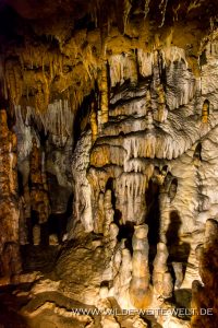 Florida-Caverns-Florida-Caverns-State-Park-Marianna-Florida-23-200x300 Florida Caverns