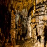 Florida-Caverns-Florida-Caverns-State-Park-Marianna-Florida-45 Florida Caverns & Falling Waters [Florida]