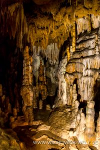 Florida-Caverns-Florida-Caverns-State-Park-Marianna-Florida-25-200x300 Florida Caverns