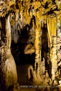 Florida-Caverns-Florida-Caverns-State-Park-Marianna-Florida-28-200x300 Florida Caverns