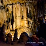 Florida-Caverns-Florida-Caverns-State-Park-Marianna-Florida-45 Florida Caverns & Falling Waters [Florida]