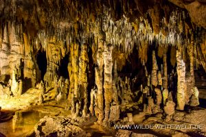 Florida-Caverns-Florida-Caverns-State-Park-Marianna-Florida-32-1-300x200 Florida Caverns