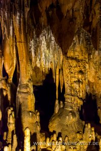 Florida-Caverns-Florida-Caverns-State-Park-Marianna-Florida-35-200x300 Florida Caverns