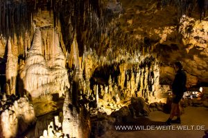 Florida-Caverns-Florida-Caverns-State-Park-Marianna-Florida-36-300x200 Florida Caverns