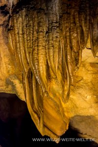 Florida-Caverns-Florida-Caverns-State-Park-Marianna-Florida-38-200x300 Florida Caverns