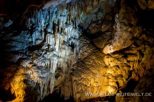 Florida-Caverns-Florida-Caverns-State-Park-Marianna-Florida-42-300x200 Florida Caverns