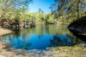 Lafayette-Blue-Springs-Lafayette-Blue-Springs-State-Park-Florida-2-1-300x200 Lafayette Blue Springs