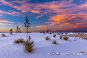 Big-White-Hoodoos-Bisti-Wilderness-New-Mexico-2-300x200 New Mexico [USA]: Attraktionen und Highlights in New Mexico