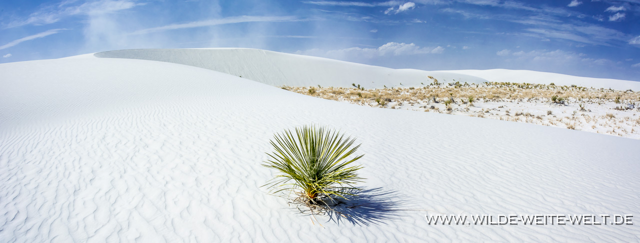 White-Sands-White-Sands-National-Monument-New-Mexico-15 White Sands National Monument [New Mexico]