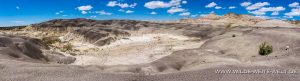 Ceja-Pejon-Mesa-Badlands-Ceja-Pejon-Mesa-Cuba-New-Mexico-54-300x81 Ceja Pejon Mesa Badlands