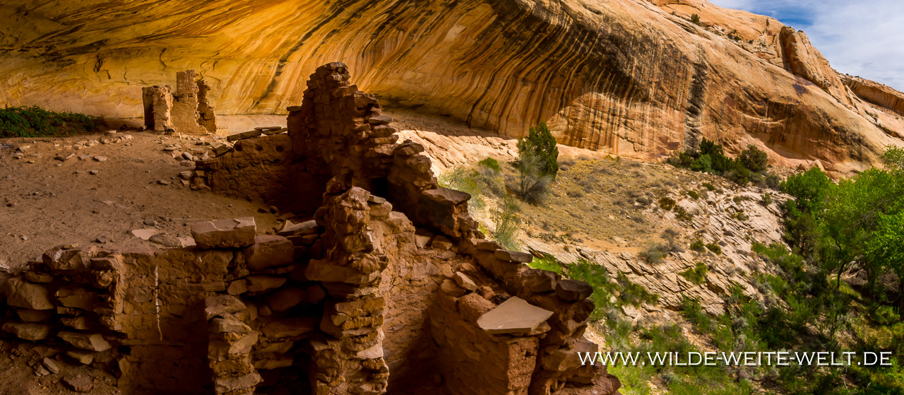 Monarch-Cave-Ruins-Butler-Wash-Bears-Ears-National-Monument-Utah-5 Butler Wash Ruins (Monarch Ruin, Cold Spring‘s Cave, Ladder Panel, Pedestal Rock Ruin, Procession Panel) & Comb Ridge [Utah]