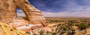 White-Mesa-Arch-Navajo-Indian-Reservation-Arizona-13-300x118 White Mesa Arch
