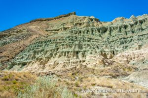 Blue-Basin-John-Day-Fossile-Beds-National-Monument-Oregon-9-300x200 Blue Basin