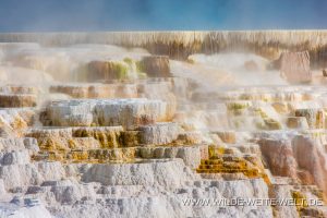 Canary-Spring-Mammoth-Hot-Springs-Yellowstone-National-Park-Wyoming-13-300x200 Canary Spring