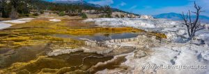 Canary-Spring-Mammoth-Hot-Springs-Yellowstone-National-Park-Wyoming-7-300x107 Canary Spring