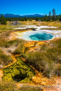 Double-Spring-Heart-Lake-Geyser-Basin-Yellowstone-National-Park-Wyoming-11-200x300 Double Spring