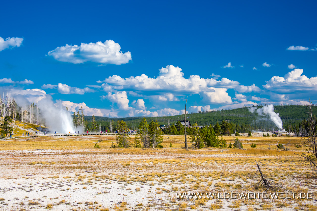 Imperial-Geyser-Imperial-Meadows-Yellowstone-National-Park-Wyoming-3 Yellowstone National Park: Heiße Quellen, Geysire & Fumarolen / Thermal Features [Wyoming]