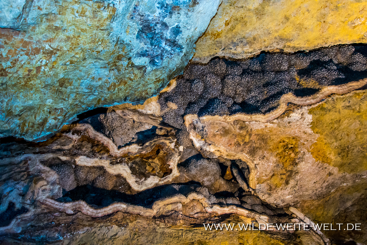 Boxwork-Wind-Cave-National-Park-South-Dakota-7 Höhlen: Jewel Cave & Wind Cave [South Dakota]