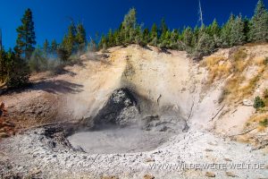 Mud-Volcano-Mud-Volcano-und-Sulphur-Caldron-Area-Yellowstone-National-Park-Wyoming-300x200 Mud Volcano