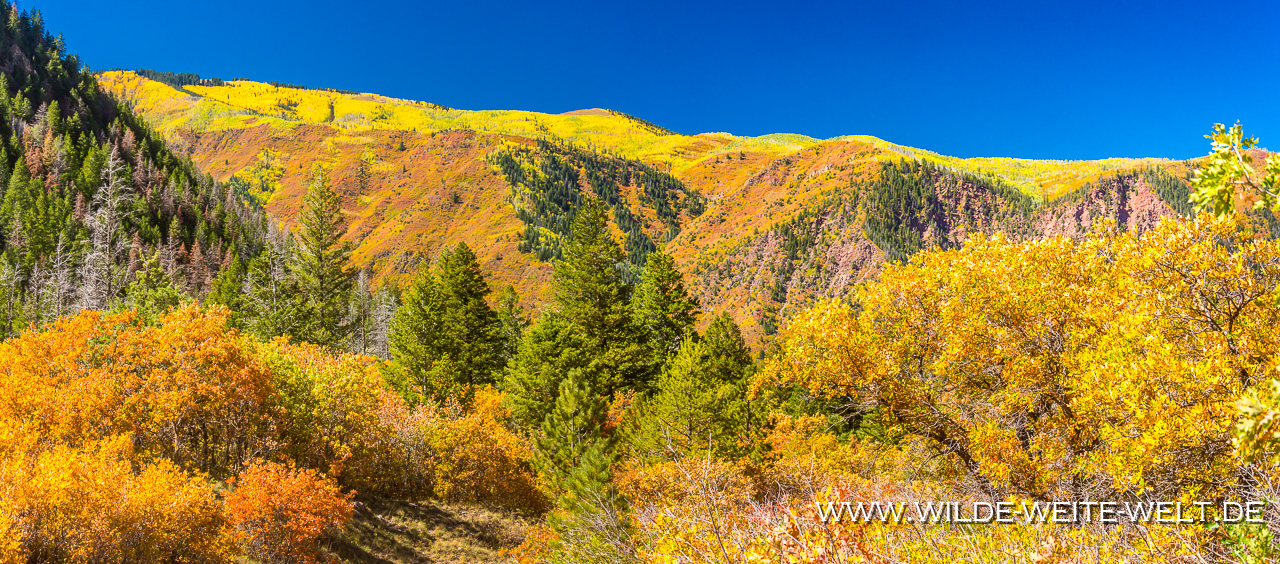 West-Beckwith-Mountain-Sunset-Elk-Mountain-Loop-Scenic-Byway-Kebler-Pass-Road-Colorado-10 Part # 1: Fall Color in Colorado [Colorado]