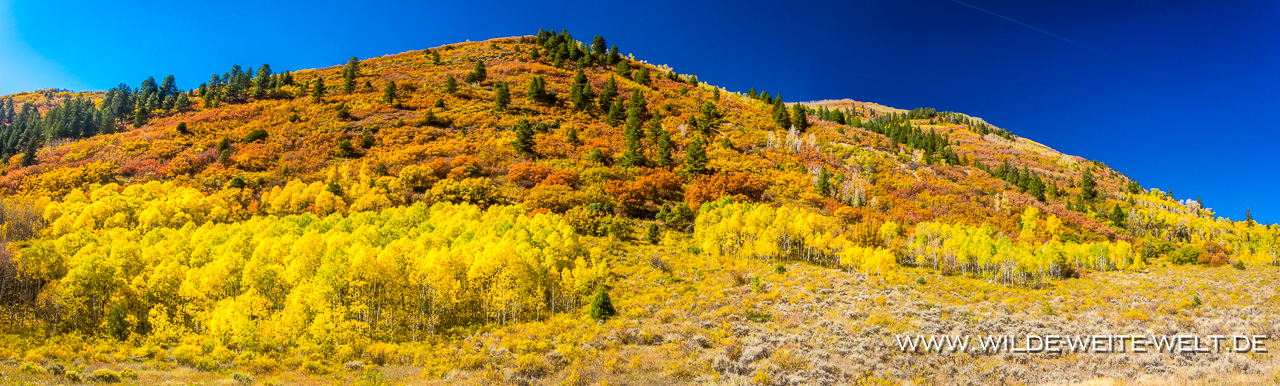 West-Beckwith-Mountain-Sunset-Elk-Mountain-Loop-Scenic-Byway-Kebler-Pass-Road-Colorado-10 Part # 1: Fall Color in Colorado [Colorado]