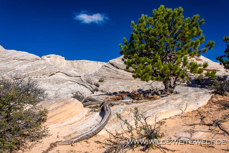Sand-Creek-Rock-Formations-Sand-Creek-Road-Laramie-Wyoming-137 Sand Creek Natural Area [Wyoming]