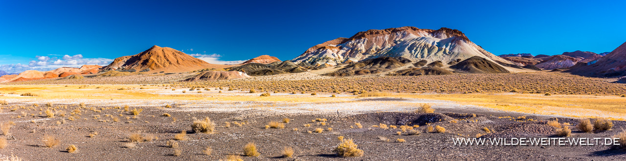 Burrows-Powerline-Road-Tonopah-Nevada-9 Extraterrestrial Highway, Silver Peak & Alkali Flats [Nevada]