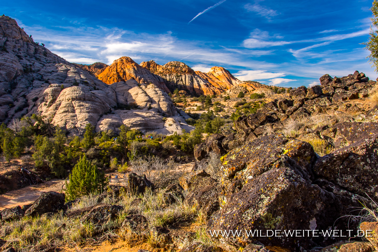 Gunlock-Mesa-Lower-Sand-Cove-Road-Red-Cliffs-National-Conservation-Area-Utah-55 Gunlock Mesa [Utah]