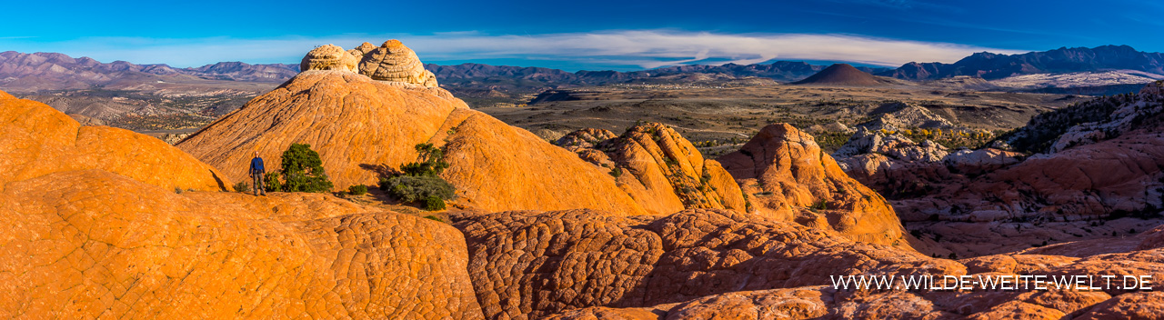Gunlock-Mesa-Lower-Sand-Cove-Road-Red-Cliffs-National-Conservation-Area-Utah-55 Gunlock Mesa [Utah]