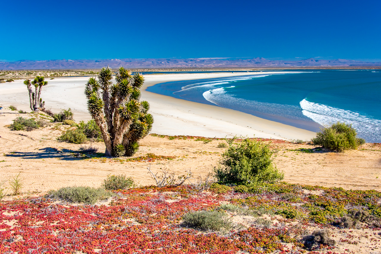 campingcar_1 Baja California Reiseroute und Erfahrungsbericht Januar bis März 2019 [Mexico]