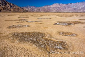 Clark-Dry-Lake-Anza-Borrego-Desert-State-Park-California-11-300x200 Clark Dry Lake