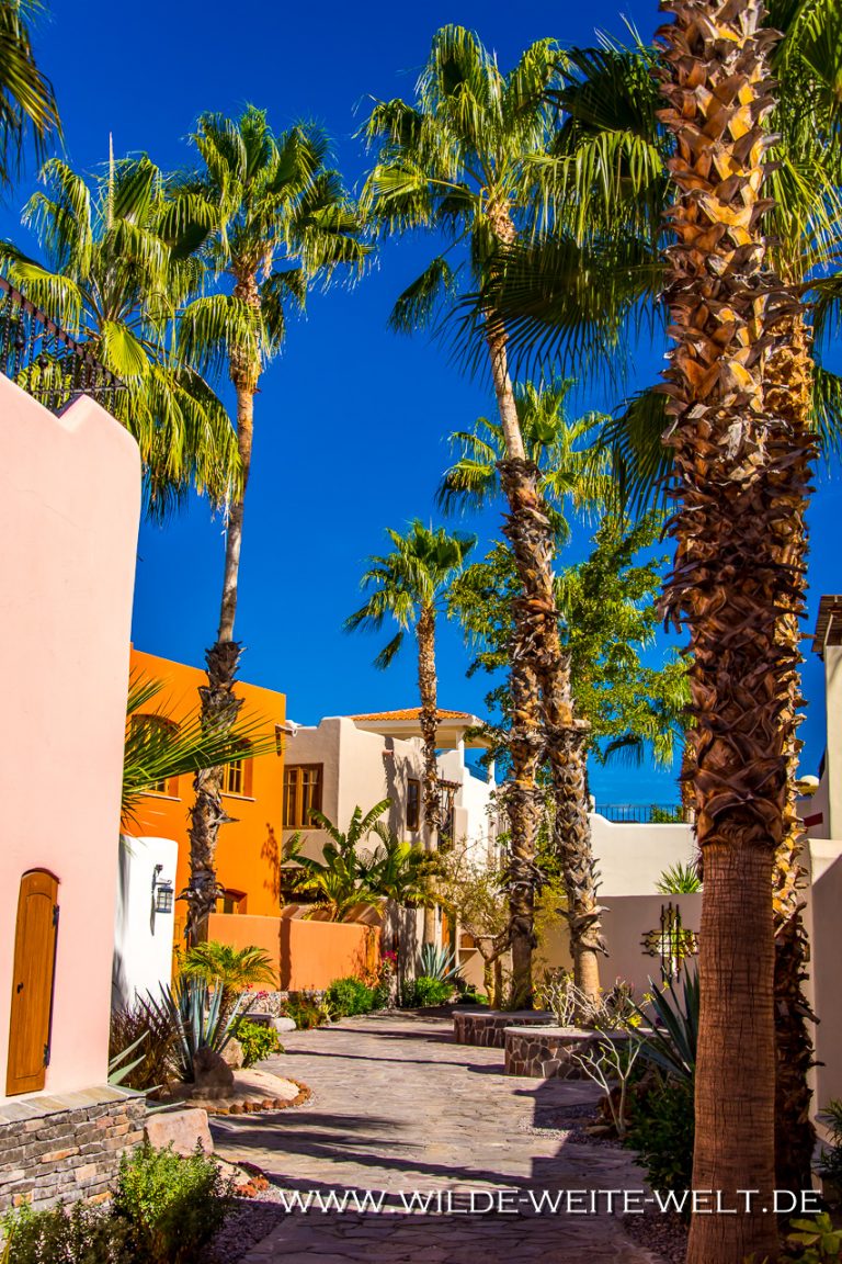 Nopolo, Puerto Escondido & Loreto [Mexico / Baja California] www