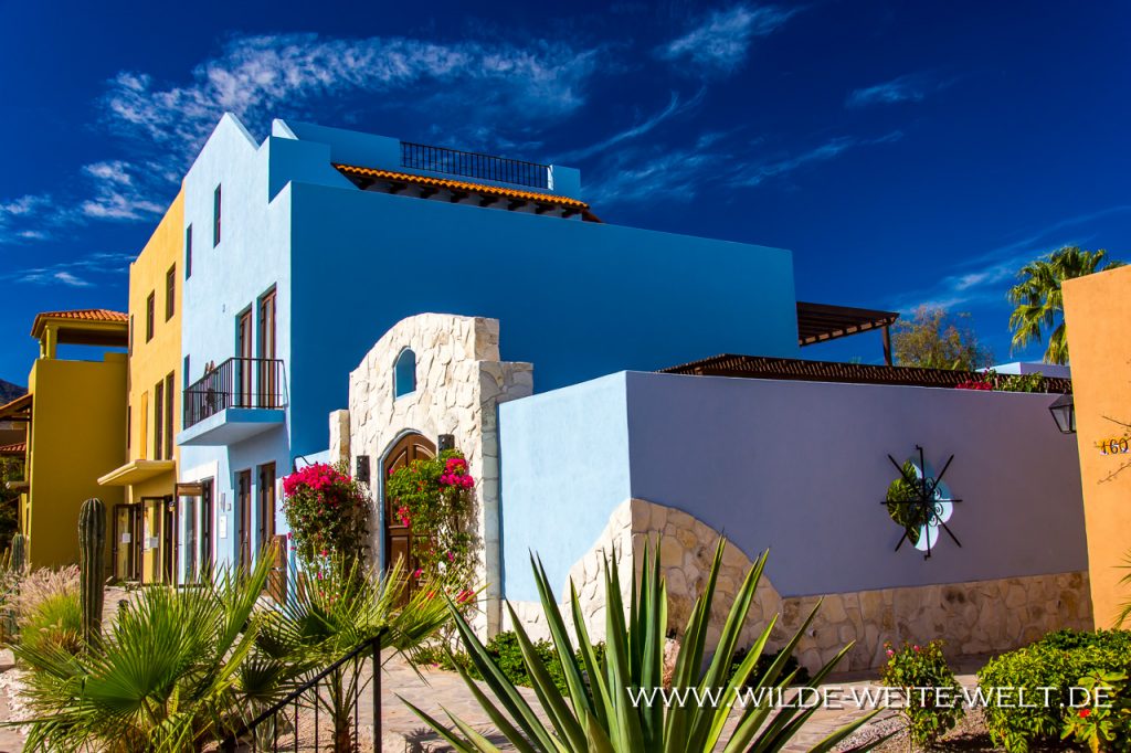 Nopolo, Puerto Escondido & Loreto [Mexico / Baja California] www