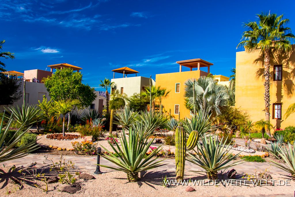 Nopolo, Puerto Escondido & Loreto [Mexico / Baja California] www
