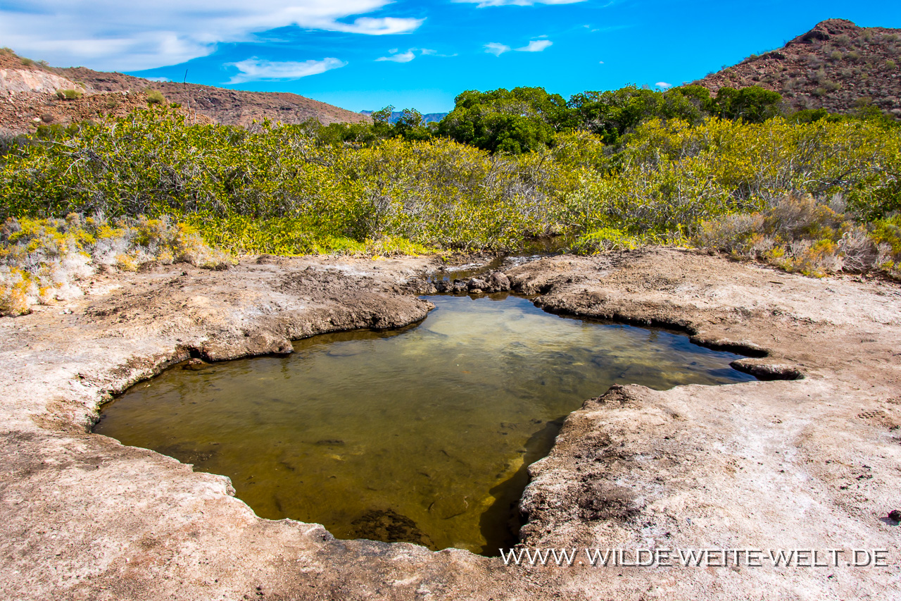Rancho-San-Cosme-Hot-Spring-Rancho-San-Cosme-Baja-California-Süd-12 Hot Springs [Heiße Quellen] auf der Baja California [Mexico / Baja California]