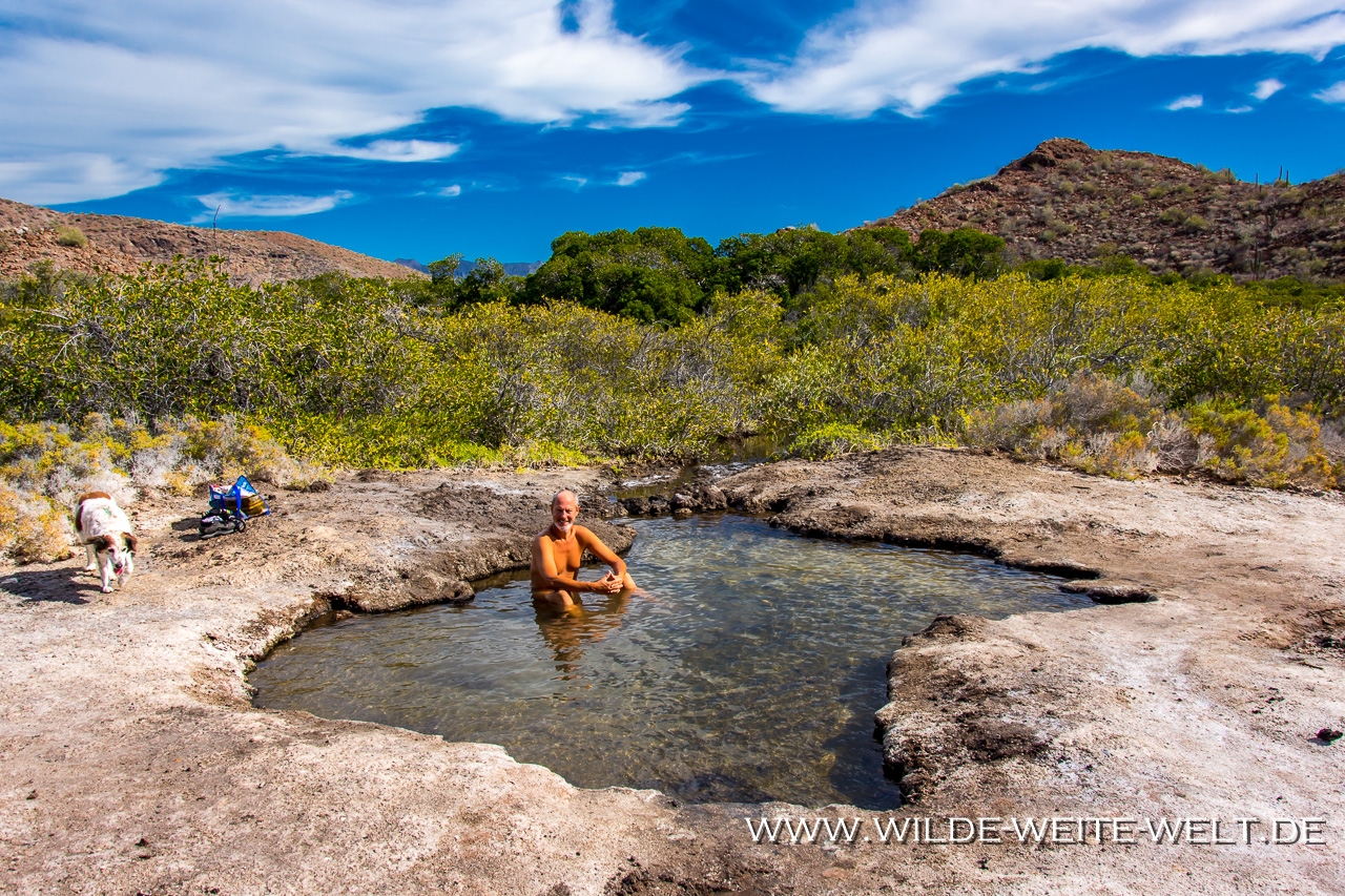 Rancho-San-Cosme-Hot-Spring-Rancho-San-Cosme-Baja-California-Süd-12 Hot Springs [Heiße Quellen] auf der Baja California [Mexico / Baja California]