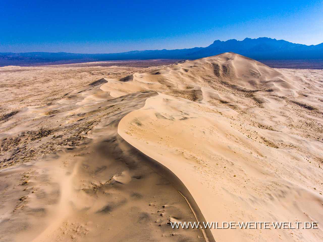 Kelso-Dunes-Mojave-National-Preserve-California-74 Kelso Dunes [California]