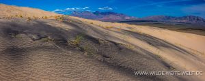 Kelso-Dunes-Mojave-National-Preserve-California-36-300x119 Kelso Dunes