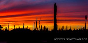 Sunset-Catavinia-Baja-California-Norte-35-300x148 Sunset
