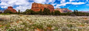 Courthouse-und-Bell-Rock-mit-Wildflowers-Courthouse-Butte-Loop-Trail-Sedona-Arizona-300x106 Courthouse und Bell Rock mit Wildflowers