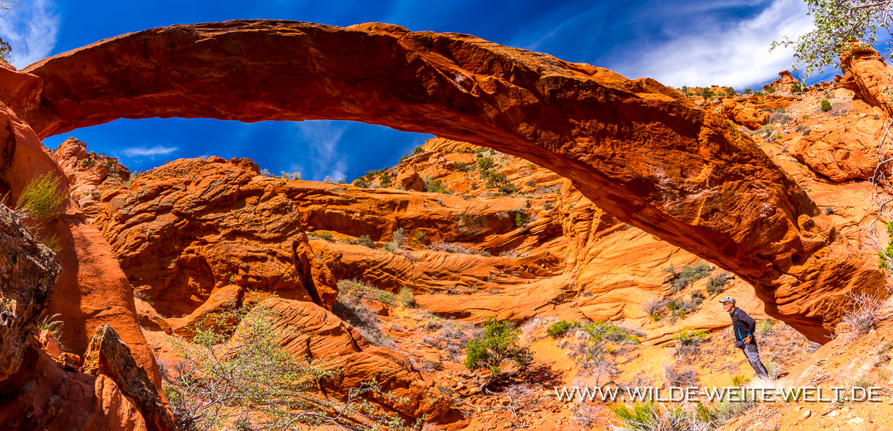 High-Heel-Arch-Paria-Canyon-Vermilion-Cliffs-Wilderness-Utah-10 4 x Wire Pass Arches: High Heel Arch, Moby Dick Arch, Dick's Arch & Fox Arch  [Grand Staircase Escalante National Monument, Utah]