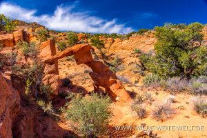 High-Heel-Arch-Paria-Canyon-Vermilion-Cliffs-Wilderness-Utah-3-300x200 High Heel Arch